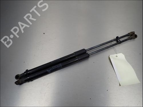 tailgate-lift-support-citroen-c3-iii-sx-2016-38769722 main image
