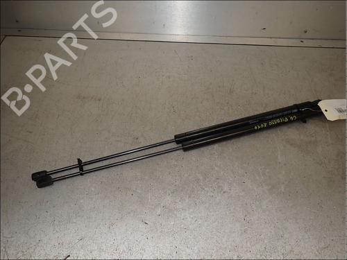 tailgate-lift-support-citroen-c4-picasso-ii-2013-34012859 main image