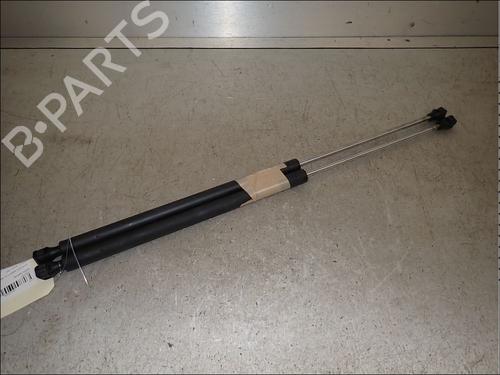 tailgate-lift-support-citroen-saxo-s0-s1-1996-1997-1998-1999-2000-2001-2002-2003-2004-34013428 main image
