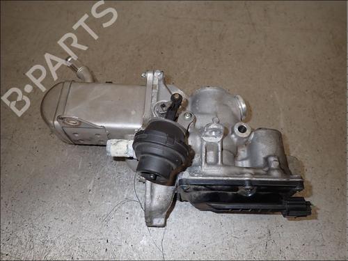 EGR-Ventil EGR-Ventil RENAULT SCÉNIC III (JZ0/1_) 1.9 dCi (JZ0J, JZ1J, JZ1K, JZ1S) (131 hp) 34017015 34017015