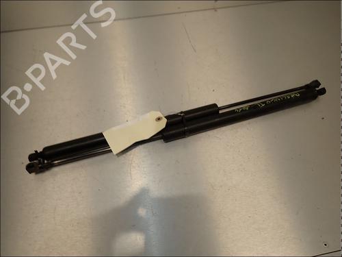 tailgate-lift-support-citroen-berlingo-multispace-b9-2008-34025048 main image