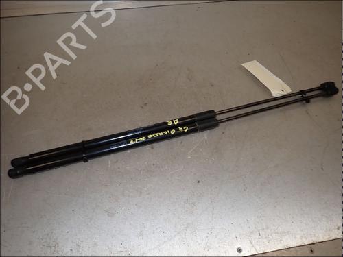 tailgate-lift-support-citroen-c4-picasso-ii-2013-34015699 main image