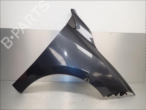 right-front-fenders-renault-megane-iii-hatchback-bz01_-b3_-2008-34022680 main image