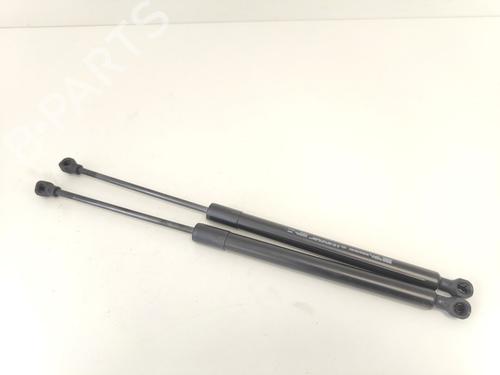 tailgate-lift-support-renault-clio-iv-bh_-2012-2013-2014-2015-2016-2017-2018-2019-2020-2021-33786003 main image