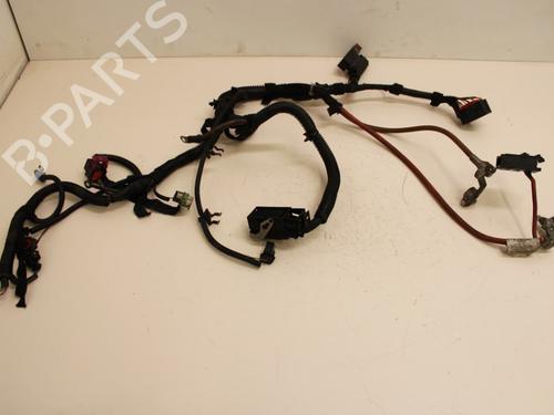 Used Wiring harness Wiring harness OPEL SIGNUM Hatchback (Z03) 2.2 direct (F48) (155 hp) 33780383 33780383