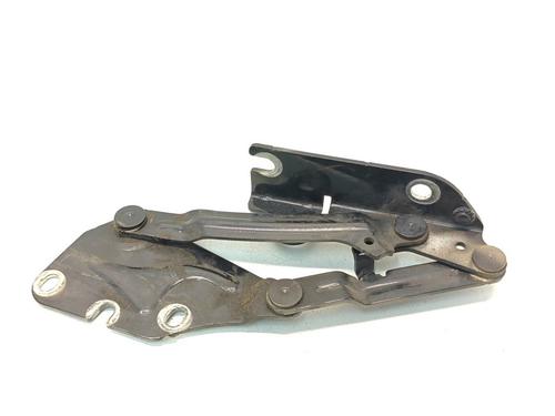 hingedoor-check-strap-vw-golf-plus-v-5m1-521-2004-2005-2006-2007-2008-2009-2010-2011-2012-2013-38681252 main image