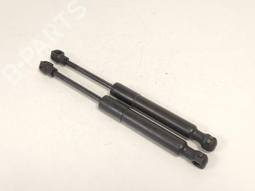 hood-lift-support-renault-zoe-hatchback-van-bfm_-2019-33776693 main image