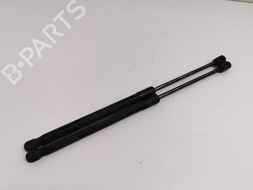 tailgate-lift-support-suzuki-swift-iii-mz-ez-2005-33779201 main image