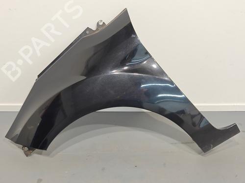 Guarda-lamas esquerdo Guarda-lamas esquerdo FORD FIESTA VI (CB1, CCN) 1.25 (60 hp) 36448172 36448172