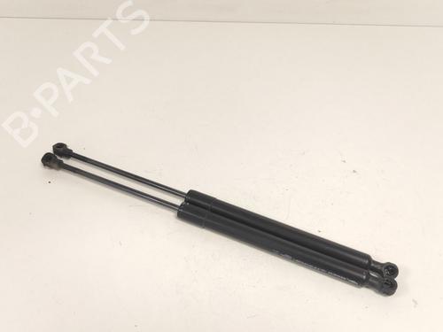 tailgate-lift-support-renault-zoe-hatchback-van-bfm_-2019-33776661 main image