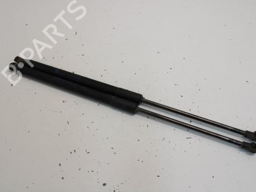 tailgate-lift-support-bmw-1-f20-2011-2012-2013-2014-2015-2016-2017-2018-2019-33781487 main image