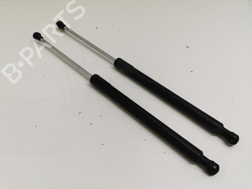 tailgate-lift-support-renault-clio-iii-br01-cr01-2005-2006-2007-2008-2009-2010-2011-2012-2013-2014-33779000 main image
