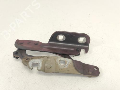 hingedoor-check-strap-ford-fiesta-vi-cb1-ccn-2008-33787857 main image