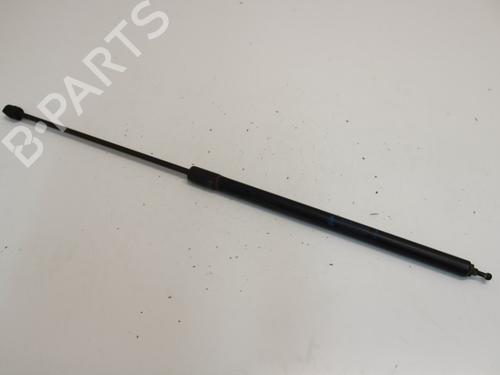 hood-lift-support-renault-megane-iii-hatchback-bz01_-b3_-2008-33781113 main image