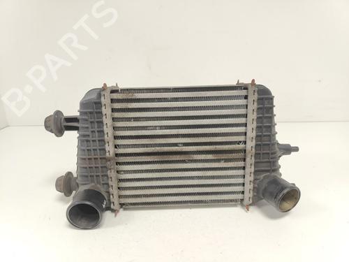Intercooler Intercooler NISSAN MICRA IV (K13K, K13KK) 1.2 DIG-S (98 hp) 33777556 33777556
