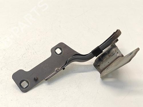 hingedoor-check-strap-renault-clio-iii-br01-cr01-2005-2006-2007-2008-2009-2010-2011-2012-2013-2014-39382958 main image