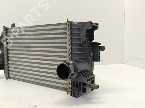 Intercooler OPEL MERIVA B MPV (S10) 1.6 CDTI (75) | BP36429622M30 - Image 3