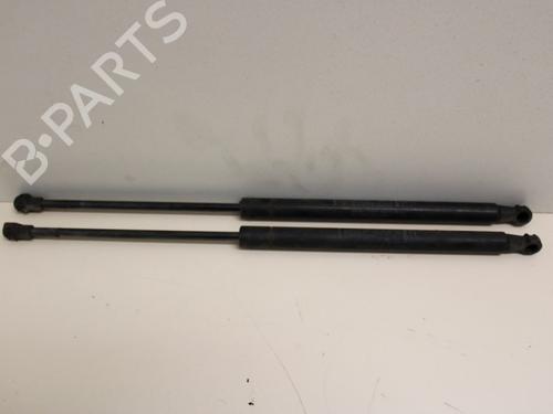 tailgate-lift-support-fiat-punto-evo-199_-2008-33780279 main image