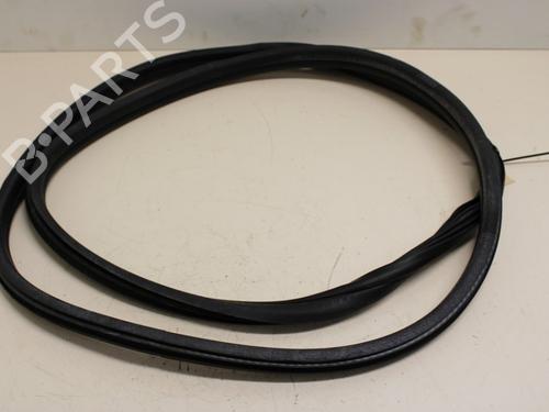 Gummiliste Gummiliste CITROËN C4 I (LC_) 1.6 16V (109 hp) 33780299 33780299