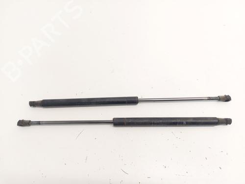 tailgate-lift-support-fiat-punto-evo-199_-2008-33782434 main image