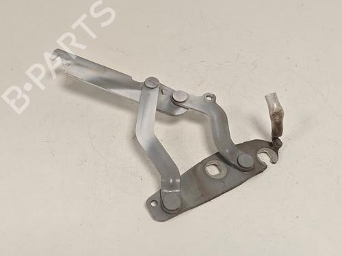 hingedoor-check-strap-ford-fiesta-vi-cb1-ccn-2008-33792237 main image