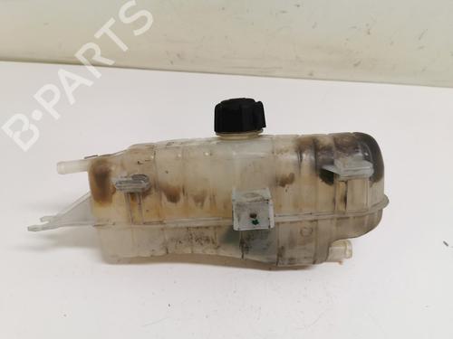 Ekpansionstank Ekpansionstank RENAULT CLIO III (BR0/1, CR0/1) 1.2 16V (BR0P, CR0P) (101 hp) 33778993 33778993