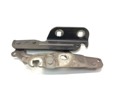 Used Hinge/Door check strap Hinge/Door check strap FORD FIESTA VI (CB1, CCN) 1.25 (60 hp) 36640892 36640892