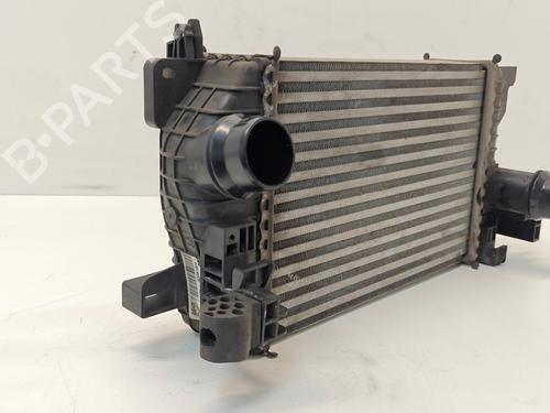 Intercooler OPEL MERIVA B MPV (S10) 1.6 CDTI (75) | BP36429622M30 - Image 4