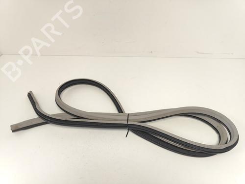 Gummiliste Gummiliste CHEVROLET AVEO / KALOS Hatchback (T250, T255) 1.2 (84 hp) 33786446 33786446