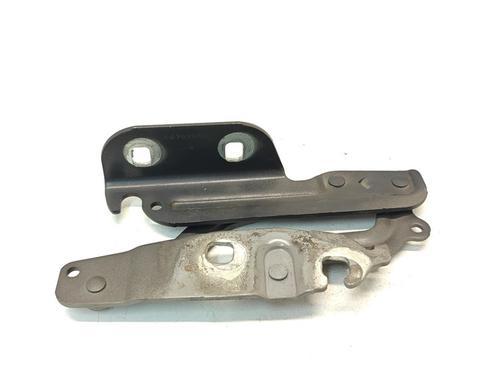 Used Hinge/Door check strap Hinge/Door check strap FORD FIESTA VI (CB1, CCN) 1.25 (60 hp) 36640891 36640891