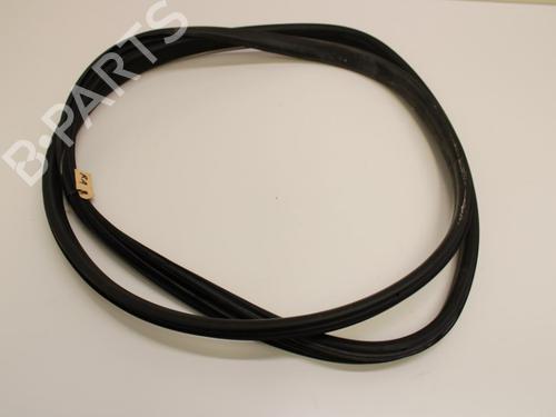 Gummiliste Gummiliste RENAULT GRAND SCÉNIC III (JZ0/1_) 1.4 16V (JZ0F) (131 hp) 33780619 33780619