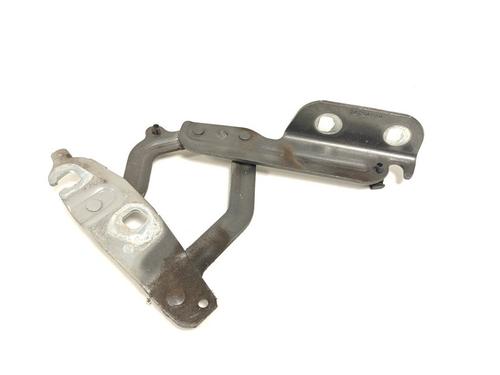 hingedoor-check-strap-ford-fiesta-vi-cb1-ccn-2008-33790202 main image