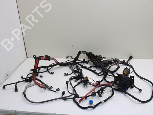 Used Wiring harness Wiring harness RENAULT MEGANE III Hatchback (BZ0/1_, B3_) 1.5 dCi (BZ0C) (90 hp) 33781124 33781124
