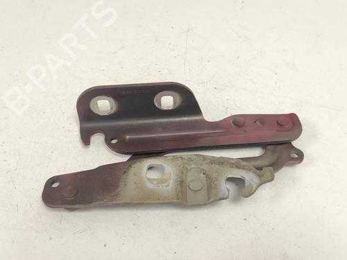 hingedoor-check-strap-ford-fiesta-vi-cb1-ccn-2008-33787856 main image