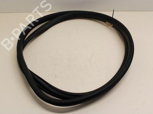 Gummiliste Gummiliste RENAULT MEGANE III Hatchback (BZ0/1_, B3_) 1.4 TCe (BZ0F, BZ1V) (131 hp) 33780334 33780334