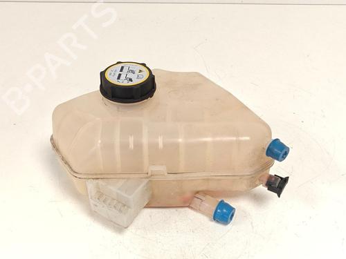 Ekpansionstank Ekpansionstank FORD FIESTA VI (CB1, CCN) 1.25 (60 hp) 33792218 33792218