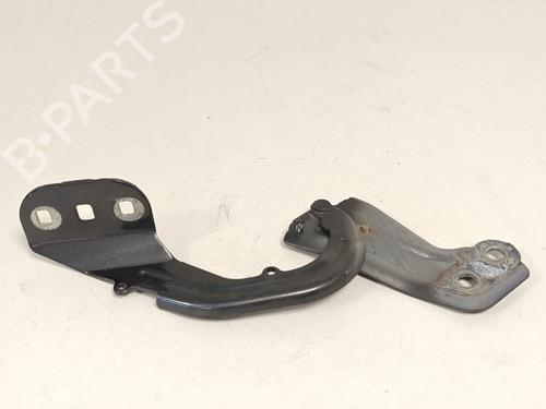 hingedoor-check-strap-ford-kuga-ii-dm2-2012-33791213 main image