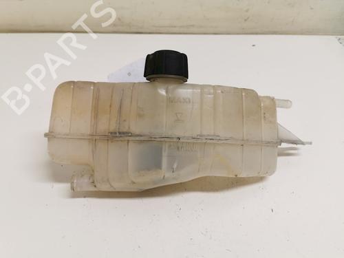 Ekpansionstank Ekpansionstank RENAULT CLIO III (BR0/1, CR0/1) 1.2 16V (BR02, BR0J, BR11, CR02, CR0J, CR11) (75 hp) 33779104 33779104