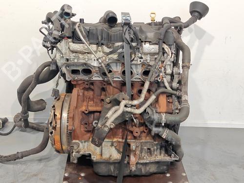 Engine FORD TRANSIT V363 Van (FCD, FDD) 2.0 EcoBlue | BP39964081M1 - Image 6