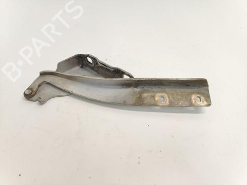 hingedoor-check-strap-fiat-punto-evo-199_-2008-33783005 main image