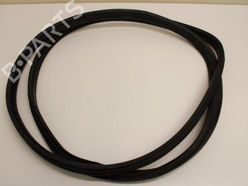 Gummiliste Gummiliste RENAULT GRAND SCÉNIC III (JZ0/1_) 1.4 16V (JZ0F) (131 hp) 33780621 33780621