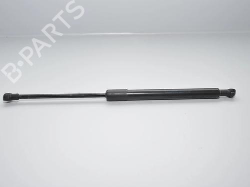 hood-lift-support-bmw-3-coupe-e92-2005-2006-2007-2008-2009-2010-2011-2012-2013-34061455 main image