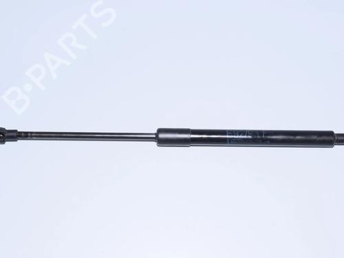 hood-lift-support-bmw-3-coupe-e92-2005-2006-2007-2008-2009-2010-2011-2012-2013-34068307 main image