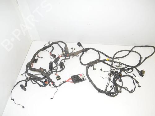 BP34068249E16 main image