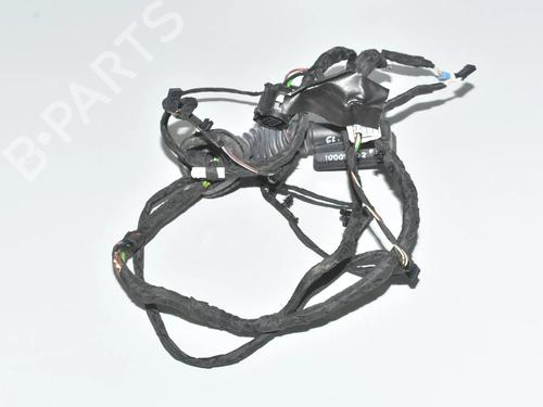 Used Wiring harness Wiring harness BMW 4 Gran Coupe (F36) 420 i (184 hp) 34066654 34066654