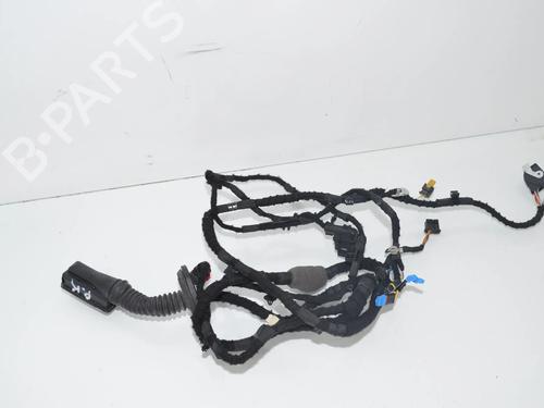 Used Wiring harness Wiring harness BMW 2 Coupe (G42, G87) 220 i (184 hp) 34096005 34096005