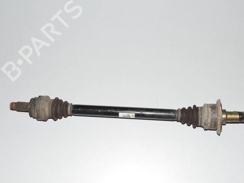  - Image 4