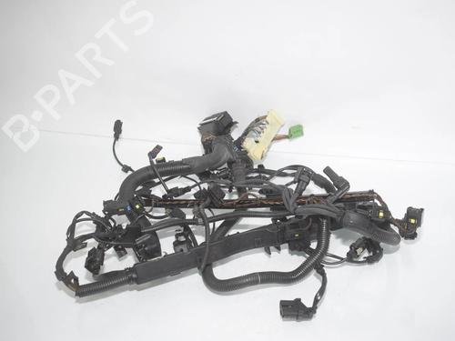 Used Wiring harness Wiring harness BMW X3 (F25) xDrive 30 d (258 hp) 39957115 39957115
