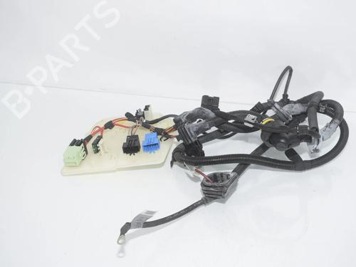 Used Wiring harness Wiring harness BMW 5 Touring (F11) 530 d xDrive (258 hp) 36520894 36520894