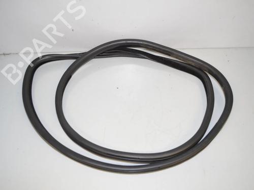 Gummiliste BMW X6 (E71, E72) xDrive 50 i | BP34090665C142 - Image 3